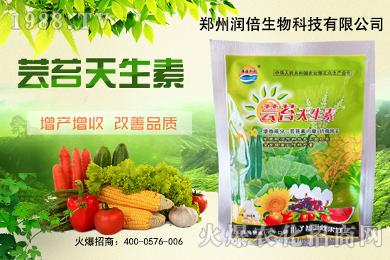 黃連苗期怎么管理？黃連苗期病蟲害防治！