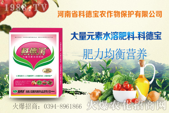 冬瓜育苗前需要做什么準(zhǔn)備？冬瓜對環(huán)境條件有什么要求？