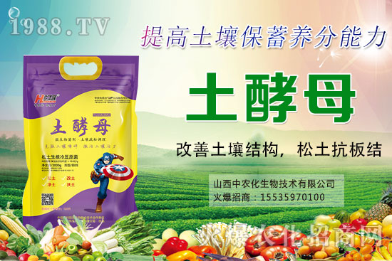 葡萄套袋有哪些好處，葡萄套袋技術(shù)要點(diǎn)及注意事項(xiàng)！