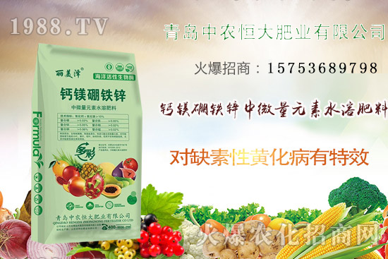 韭菜什么時候播種？韭菜市場前景如何？（附種植成本及利潤分析）