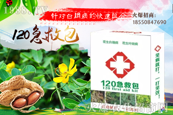 慈姑育苗方法有哪些？慈菇怎么移栽定植？