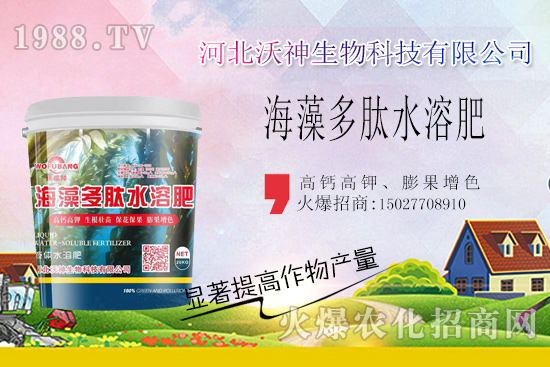 作物長勢(shì)好不好,根系管理很重要!“海藻多肽水溶肥”開啟作物生根時(shí)代!