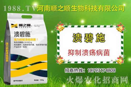 柑橘潰瘍病危害一年比一年嚴(yán)重，柑橘潰瘍病如何防控？