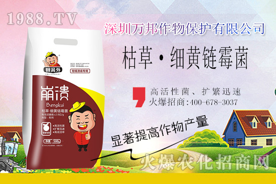 柑橘潰瘍病危害一年比一年嚴(yán)重，柑橘潰瘍病如何防控？