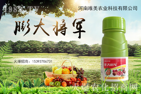 果實(shí)膨果慢、果實(shí)小怎么解決？果實(shí)膨果肥的選擇有哪些？