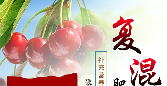復混肥料（純硫基）20-5-23-歌利洋_01