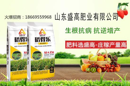 盛高肥業(yè)怎樣，有哪些優(yōu)勢(shì)？公司主打產(chǎn)品有哪些？