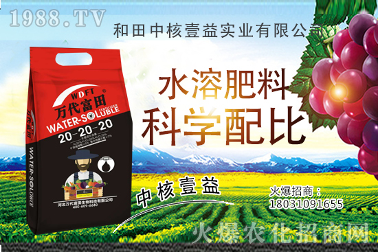 四季海棠多久澆一次水？四季海棠澆水過多怎么挽救？