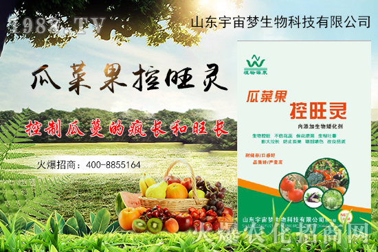夏季高溫瓜菜果徒長(zhǎng)，怎么解決？瓜菜果控旺產(chǎn)品怎么選？