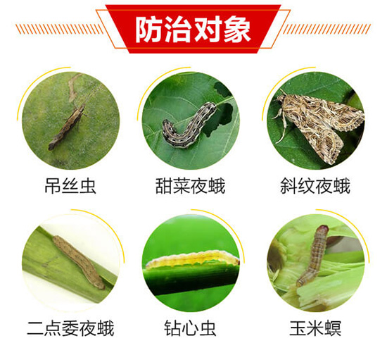 防治對(duì)象1