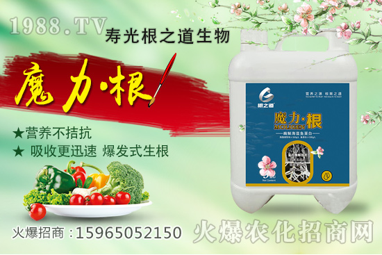 要想作物好，根系更重要！壽光根之道怎么樣？有哪些爆款產(chǎn)品？