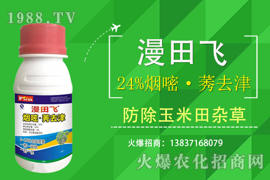 24%煙嘧·莠去津除草效果好嗎？24%煙嘧·莠去津有什么特點？