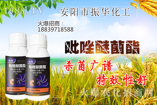黃瓜白粉病危害有哪些，黃瓜白粉病怎么治？該打什么農(nóng)藥？