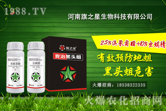 河南旗之星怎么樣？河南旗之星殺蛆產(chǎn)品有哪些？
