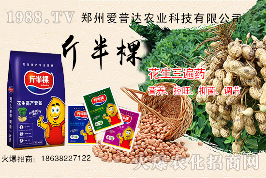 花生三遍藥什么時期使用？花生三遍藥有哪些作用？
