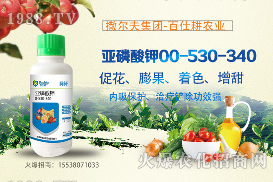 營養(yǎng)控梢，預(yù)防潰瘍！亞磷酸鉀真的這么牛嗎？亞磷酸鉀作用原理！