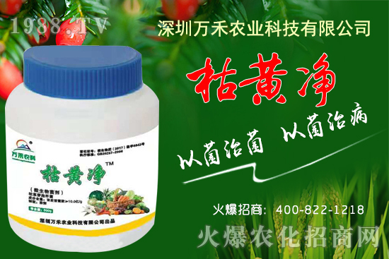 枯黃凈能防治哪些病害？枯黃凈適用作物及使用方法！