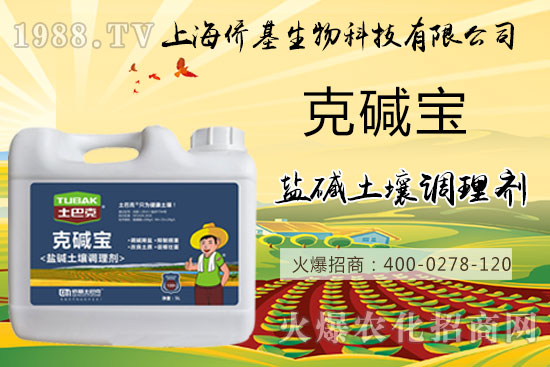 土壤鹽堿危害大，“克堿寶”消除鹽堿，還您一片沃土！