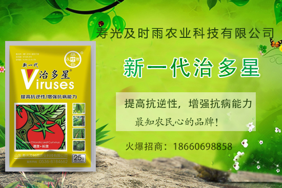 番茄病毒病你知道幾種？怎樣合理防治番茄病毒??？(內(nèi)附防治方法) 