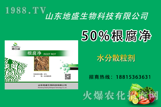 根腐病危害重，如何做好根腐病的防治？這樣做50%根腐凈！