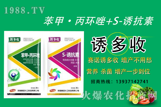 “苯甲·丙環(huán)唑+S-誘抗素”營養(yǎng)、殺菌、增產一步到位!