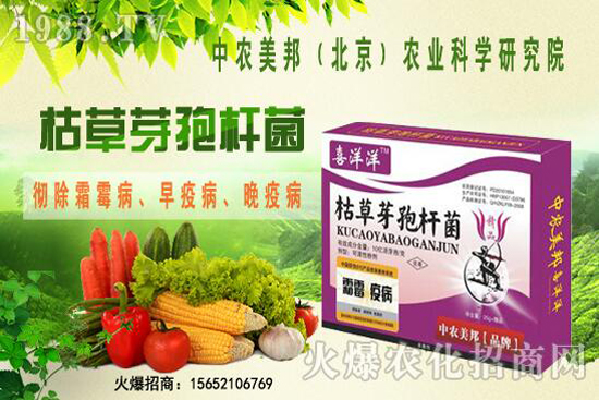枯草芽孢桿菌治根腐病嗎，防治哪些土傳病害？防治對象有哪些？