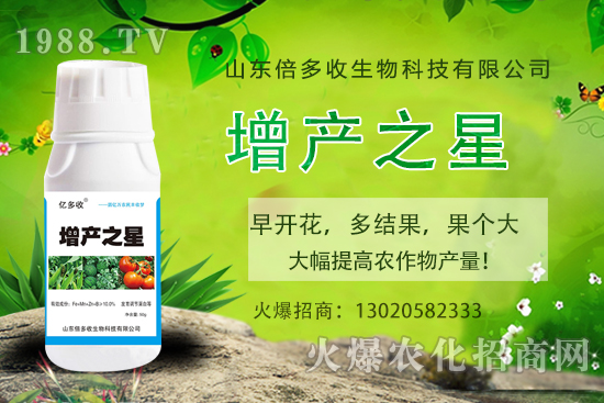茄子需肥規(guī)律有哪些，茄子用什么肥料？茄子施肥注意事項！