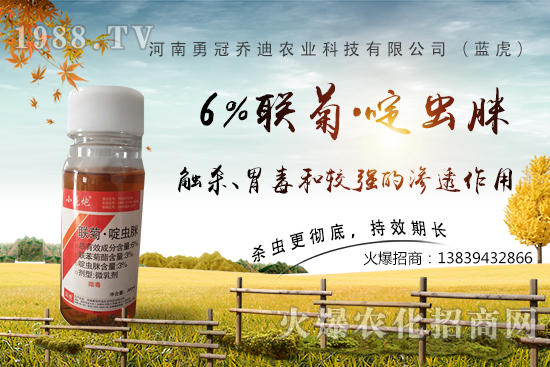 番茄白粉虱大爆發(fā)，防治難？“6%聯(lián)菊·啶蟲脒”卵蟲通殺，藥性強(qiáng)！