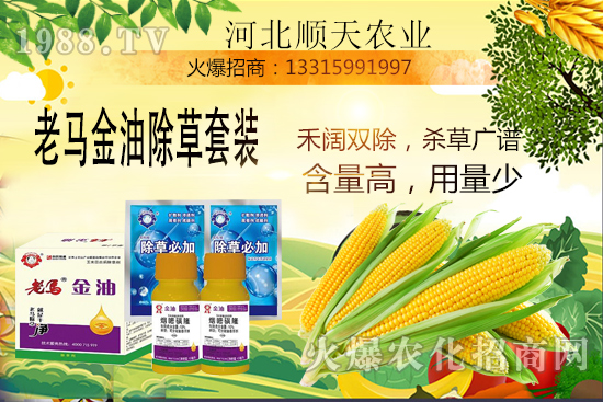 如何提高玉米苗后除草效率？玉米除草關(guān)鍵點大匯總！