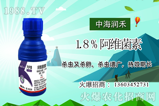 斜紋夜蛾高發(fā)期，防治工作迫在眉睫！斜紋夜蛾如何用藥？