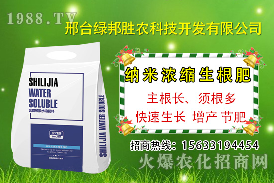 番茄死棵究竟哪些原因所致，如何預(yù)防番茄死棵發(fā)生？