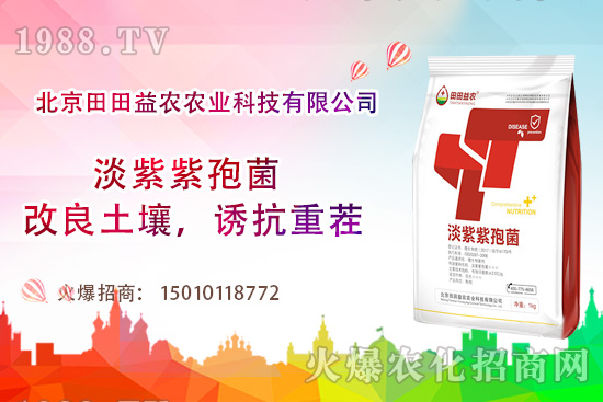 西紅柿需肥特點(diǎn)有哪些，西紅柿夏季如何管理？