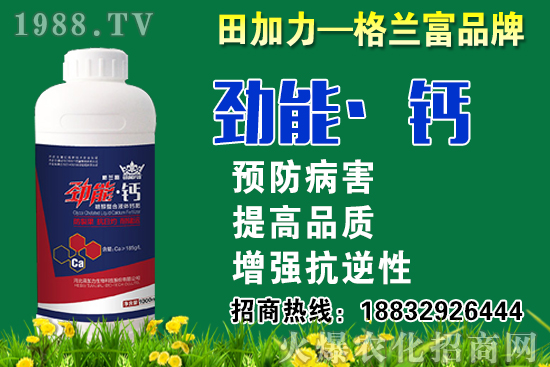 2020秋蘿卜什么時候種？秋蘿卜種植要注意哪些問題？