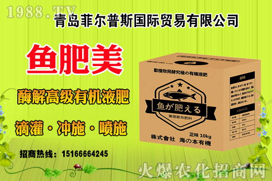 玉米結(jié)實不好啥原因？有法補(bǔ)救嗎？玉米結(jié)實不良改善措施！