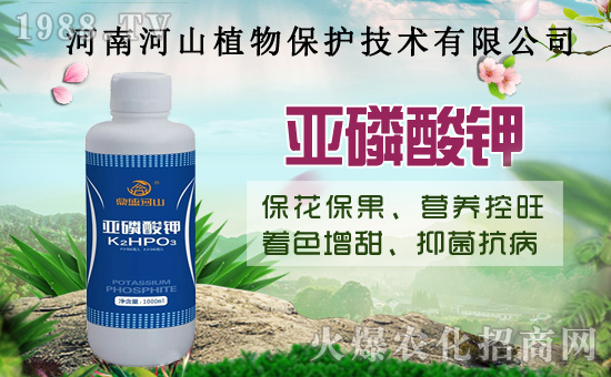小麥政策加碼！扎堆賣糧！2020年8月14日小麥價(jià)格行情！