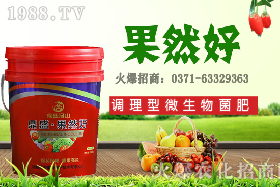 秋季適合種植哪些花卉？秋天播種六種花卉品種推薦！