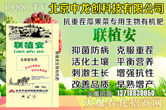 2020-8-20小麥?zhǔn)召弮r多少錢一斤?小麥價格行情如何?