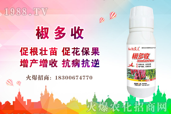 小麥價格多少錢一斤？2020年后期小麥價格還會上漲嗎？