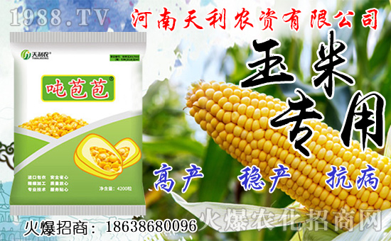 種人參果到底掙不掙錢(qián)？種植前景如何？人參果種子怎么種？
