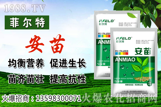 燈籠果生長對(duì)環(huán)境的要求,燈籠果種植及采收技術(shù)!