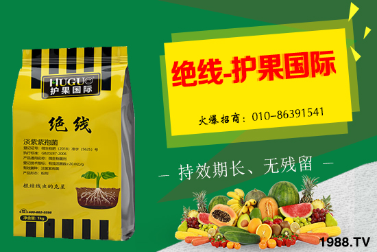 杏樹生長條件有哪些，杏樹栽培管理技術(shù)！