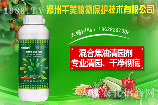 金錢草種子怎么種？金錢草種植方法介紹！
