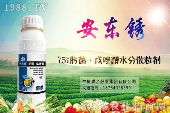 小麥價(jià)格后市將繼續(xù)漲？9月16日小麥價(jià)格走勢(shì)！
