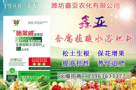 糧食漲價！20209月17日小麥價格行情如何？