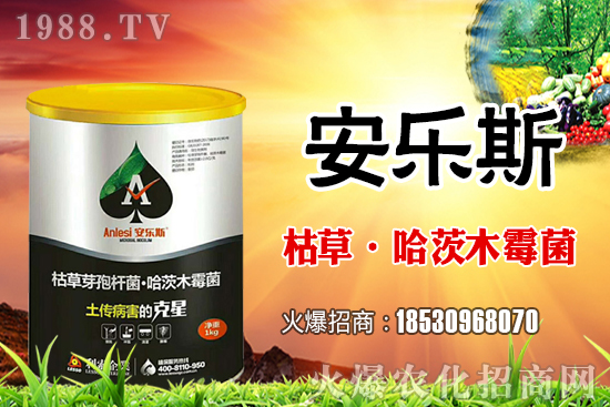 小麥種子是購買還是自留？小麥自留種子需要注意哪些內(nèi)容？