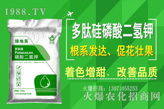 芹菜的優(yōu)良品種有哪些？芹菜種植生長環(huán)境（附種植技術(shù)）