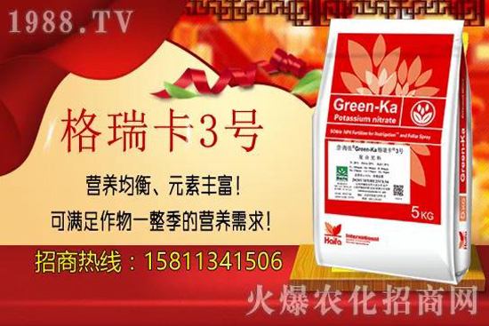 秋栽果樹的好處有哪些？秋栽果樹八大關鍵要點！