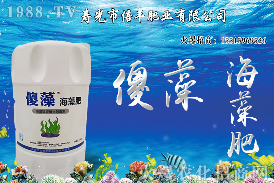 市場(chǎng)逐步回歸正?;久?,大豆價(jià)格沖高回落!
