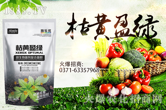 十月即將到來(lái)，麥價(jià)能漲多少？9月29日小麥價(jià)格走勢(shì)！