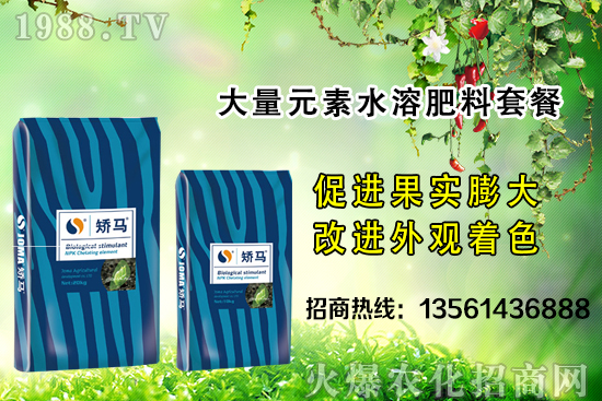 秋季果樹施肥的好處有哪些？秋季果樹施肥指導(dǎo)方案！
